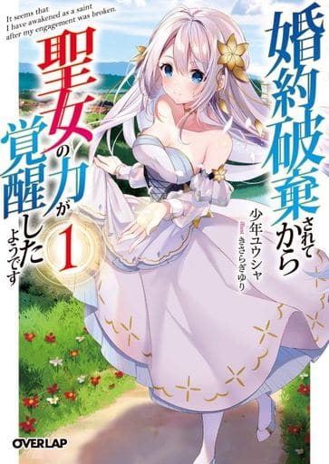 婚約破棄されてから聖女の力が覚醒したようです 1 (オーバーラップ文庫) 少年ユウシャ; きさらぎゆり