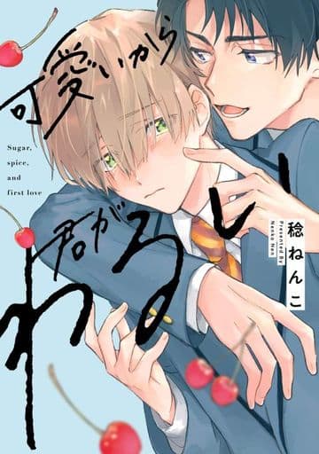 可愛いから君がわるい (リキューレコミックス) 稔ねんこ