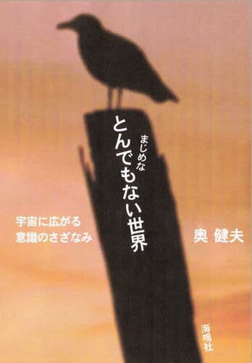 まじめなとんでもない世界: 宇宙に広がる意識のさざなみ 奥 健夫