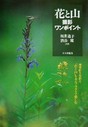花と山撮影ワンポイント: 四季折々を彩る花と山をセルフ・フォトで楽しむ 坂井 道子; 渋谷 健