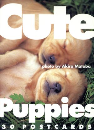 Cute Puppies