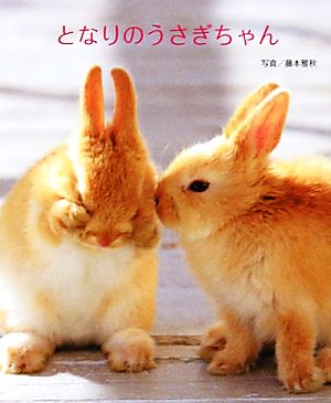 となりのうさぎちゃん 藤本 雅秋