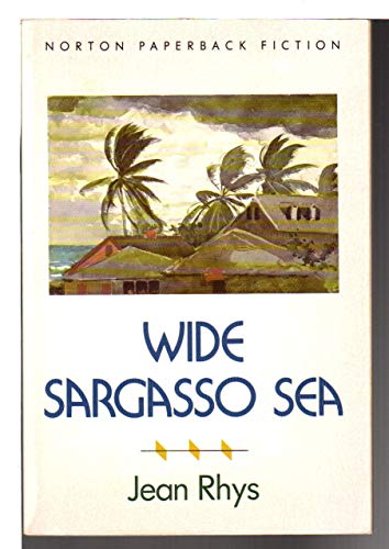 Wide Sargasso Sea Rhys， Jean