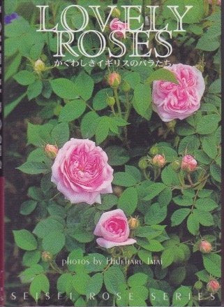 LOVELY ROSES