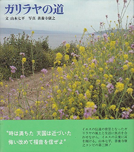 ガリラヤの道 山本 七平; 善養寺 康之