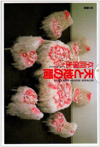 天と地の間 [単行本] 草間 彌生