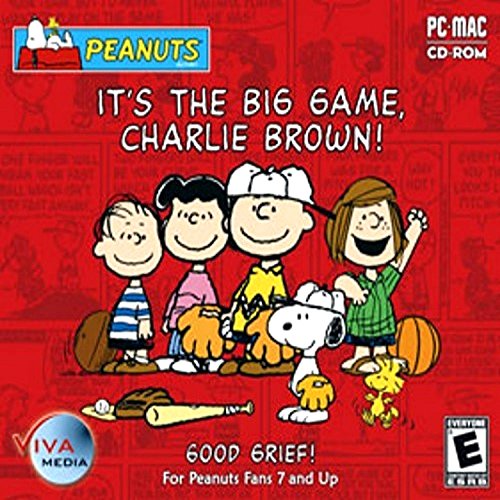 Peanuts: It's The Big Game Charlie Brown! [video game]