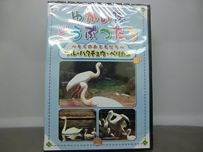 ゆかいなどうぶつたち ～そらのおともだち～ ツル・ハクチョウ・ペリカン