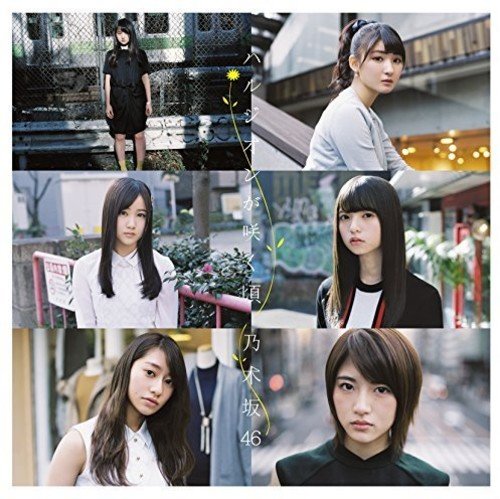 ハルジオンが咲く頃(Type-D)(DVD付) [CD] 乃木坂46
