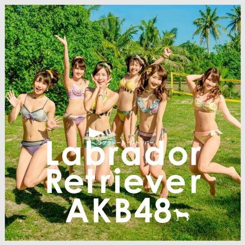 Akb48 - Labrador Retriever (Type K) (CD+DVD) [Japan LTD CD] KIZM-90285 by Akb48 (2014-05-21) [CD]