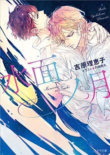 二重螺旋 ライトノベル 1-13巻セット [文庫]