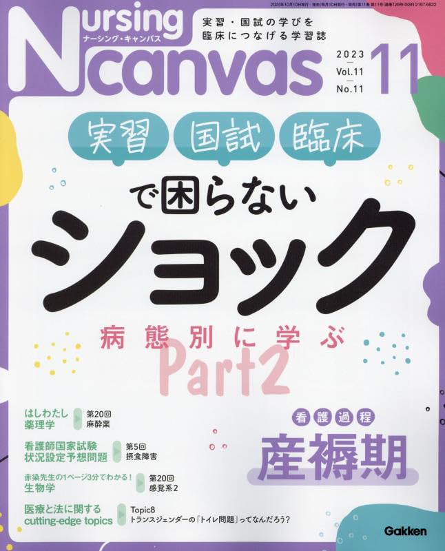 Nursing Canvas(ナーシングキャンバス) 2023年 11 月号 [雑誌] [Oct 10， 2023]