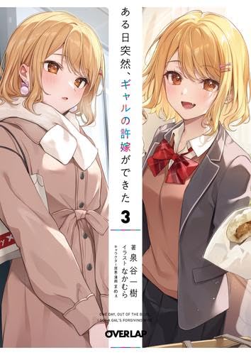 ある日突然、ギャルの許嫁ができた ライトノベル 1-3巻セット (オーバーラップ) [文庫] 泉谷一樹; なかむら／まめぇ