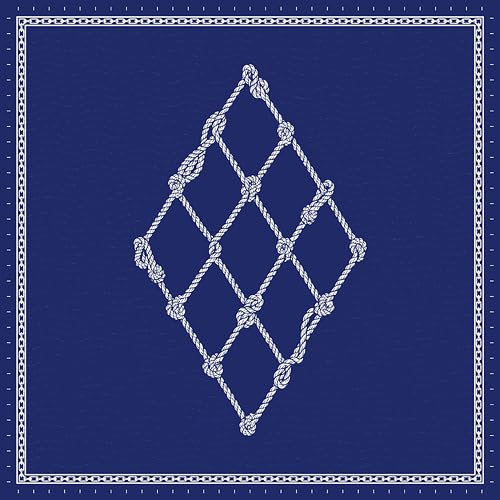 青嵐 (Aoarashi) (通常盤) [CD] &TEAM