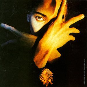 Neither Fish Nor Flesh [CD] D'Arby， Terence Trent