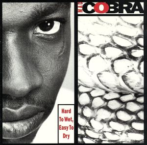 Hard to Wet Easy to Dry [CD] Mad Cobra