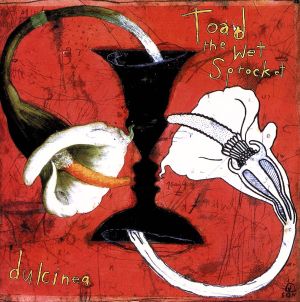 Dulcinea [CD] Toad the Wet Sprocket