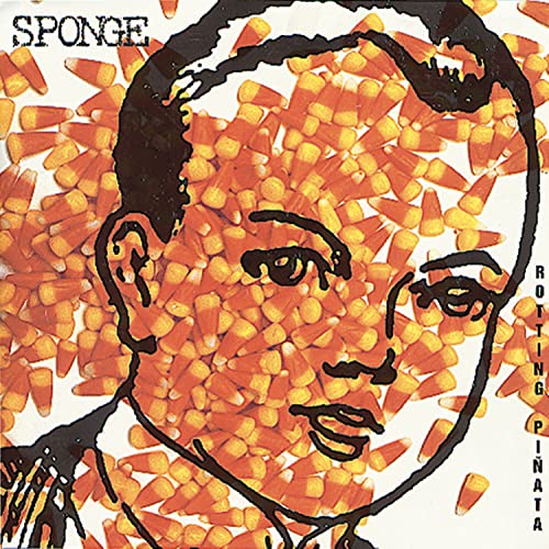 Rotting Pinata [CD] Sponge