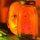Jar of Flies [CD] Alice in Chains