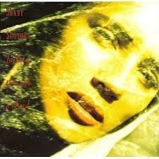 Falling Through A Cloud [CD] Southon，Sonny