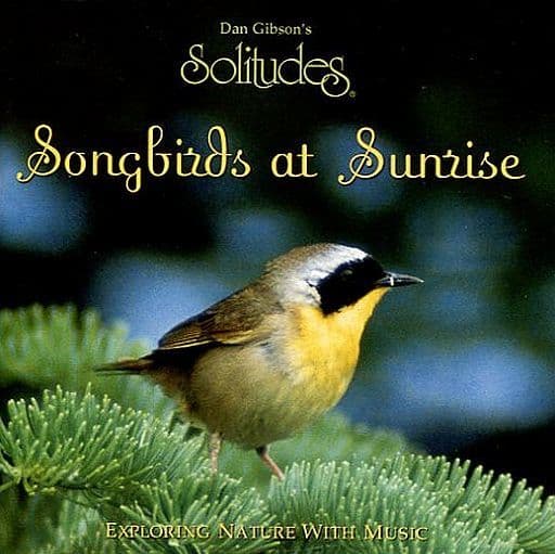 Songbirds At Sunrise