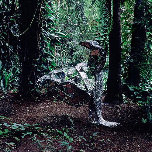 DONKEY (IMPORT) [CD] CSS