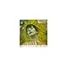 Still Dreaming... [CD] Eterne