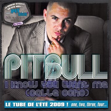 I Know You Want Me (Calle Ocho) [CD]