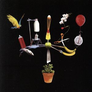The Big Other [CD] Fiction