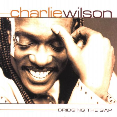 Bridging the Gap [CD] Wilson， Charlie
