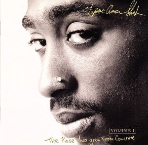 Tribute To 2pac [CD] V/a