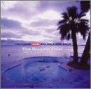 You Come & Go Like a Pop Song [CD] Bicycle Thief