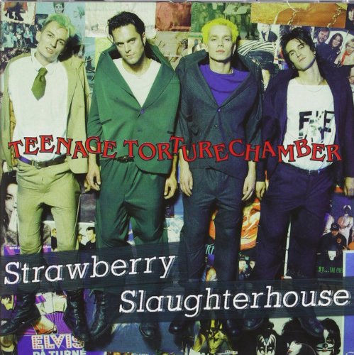 Teenage Torture Chamber [CD] Strawberry Slaughterhouse