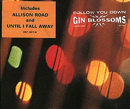 Follow You Down [CD] Gin Blossoms
