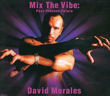 Mix the Vibe: Past Present Future [CD] Various Artists