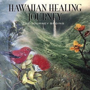 Journey Begins [CD] Bryan Kessler