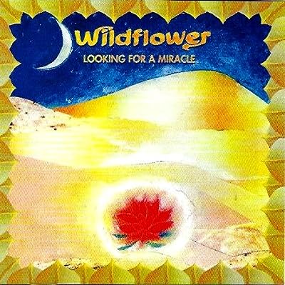 LOOKING FOR A MIRACLE [CD]