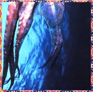 メロンウィスパー [CD] タイム・オブ・オーキッズ キース・エイブラムス ジェシー・クラコウ マリリン・クリスペル ウィル・レドモンド; チャック・スターン