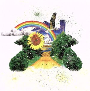 My Sweet Home (DVD付) [CD] THE BOOM