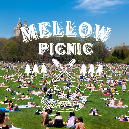Mellow Picnic produced and mixed by Naturally [CD] Naturally