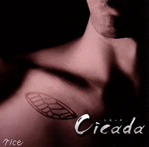 Cicada [CD] rice