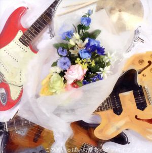 この胸いっぱいの愛を [CD] グッバイフジヤマ