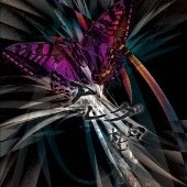 アレグロ 店舗限定盤 [CD] ホロ