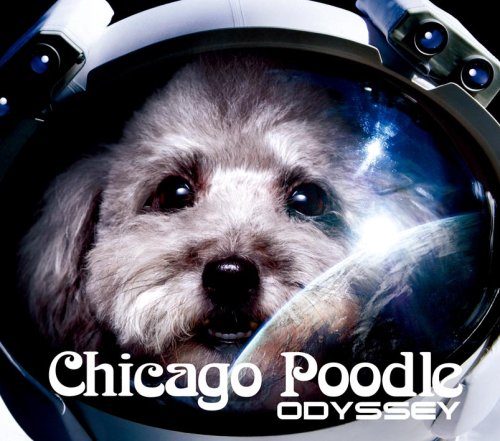ODYSSEY [CD] Chicago Poodle