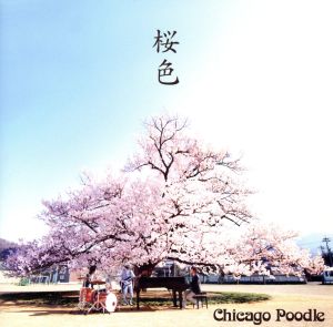 桜色(初回限定盤)(DVD付) [CD] Chicago Poodle