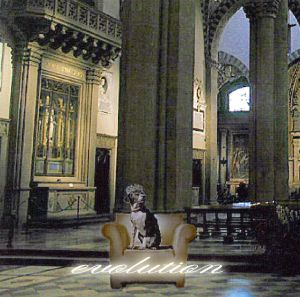 evolution [CD] オムニバス traveling riverside blues 大野勇太 周平 VELLOW Shizuka JANGLEJAM WHITE BOXX meets YO-YO KAT comodo; KREIS