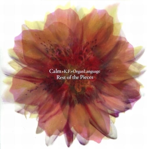 REST OF THE PIECES [CD] CALM