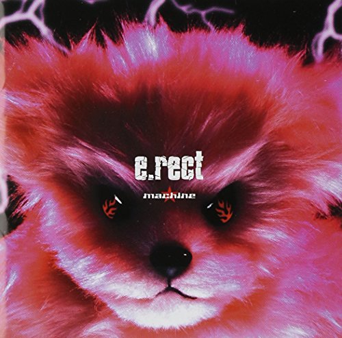 e.rect [CD] machine