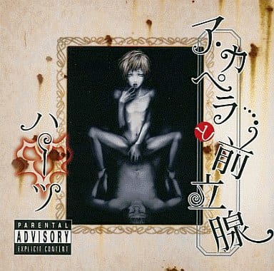 ア・カペラと前立腺 [CD] hurts