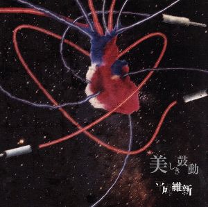 美しき鼓動[TYPE A] [CD] 平成維新